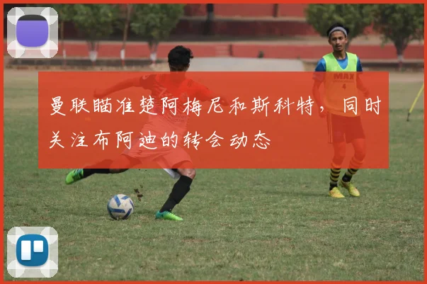 曼联瞄准楚阿梅尼和斯科特，同时关注布阿迪的转会动态