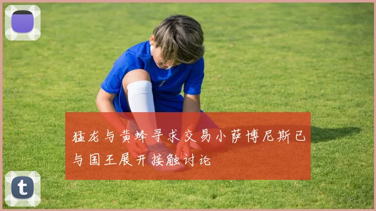 猛龙与黄蜂寻求交易小萨博尼斯已与国王展开接触讨论